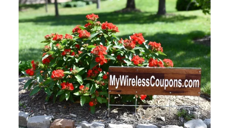 MyWirelessCoupons Garden