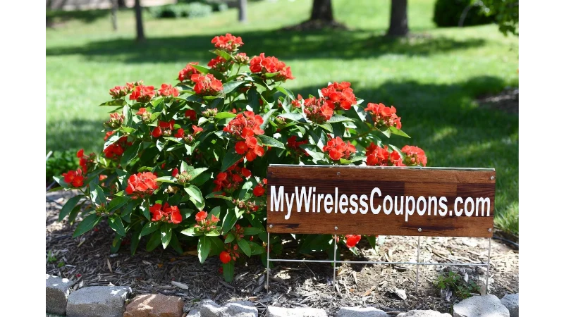 MyWirelessCoupons Garden